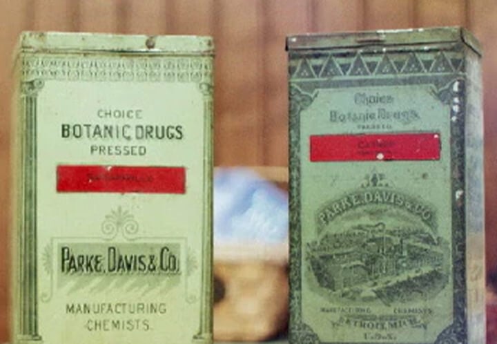 Empaquetado de cannabis vintage de Parke, Davis & Co. del siglo XIX. Muestra los primeros empaques farmacéuticos antes de la regulación del cannabis.