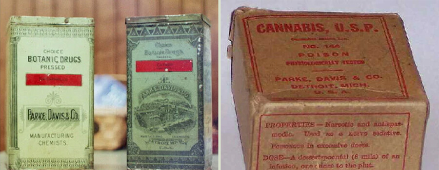 Empaquetado de cannabis vintage de Parke, Davis & Co. del siglo XIX. Muestra los primeros empaques farmacéuticos antes de la regulación del cannabis.