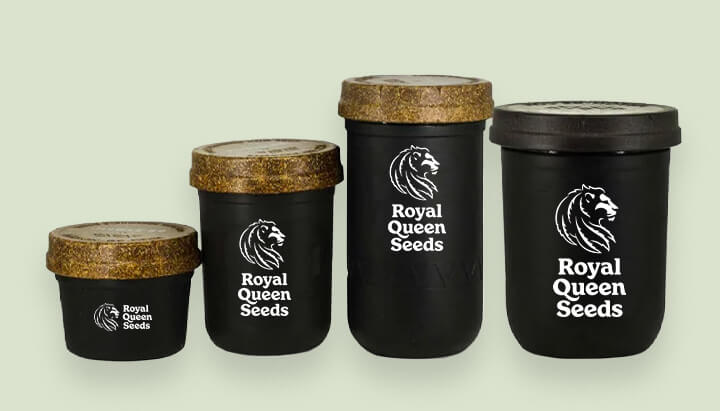 Contenedores modernos de Royal Queen Seeds en diferentes tamaños. Ilustra cómo ha evolucionado el empaquetado del cannabis para conservar mejor la calidad del producto.