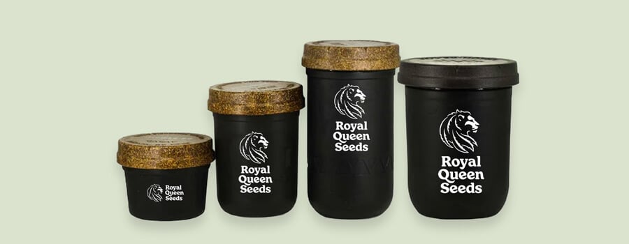 Contenedores modernos de Royal Queen Seeds en diferentes tamaños. Ilustra cómo ha evolucionado el empaquetado del cannabis para conservar mejor la calidad del producto.