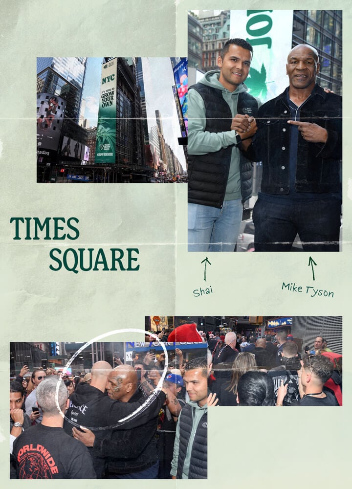 "Un collage de fotos relacionadas con Times Square en Nueva York, que incluye el famoso cartel de Times Square, una foto de Mike Tyson y fotos de personas disfrutando del bullicio de Times Square.  "