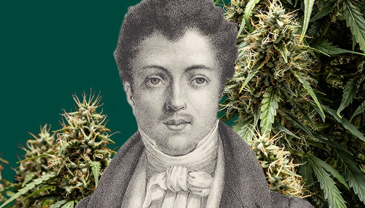 Retrato en blanco y negro de Alexandre Dumas con un fondo verde, rodeado de plantas de cannabis junto al escritor icónico.