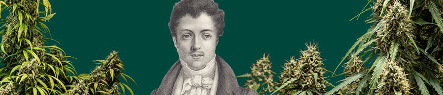 Retrato en blanco y negro de Alexandre Dumas con un fondo verde, rodeado de plantas de cannabis junto al escritor icónico.