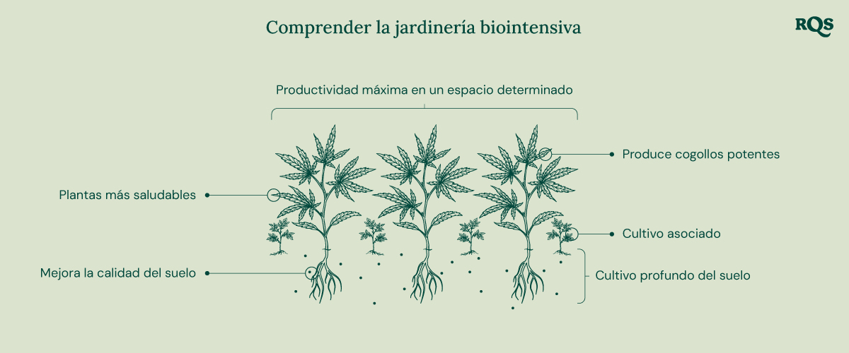 Ilustración de la jardinería biointensiva, mostrando máxima productividad, plantas más saludables, brotes potentes, plantación en asociación, cultivo en profundidad y mejora de la calidad del suelo.