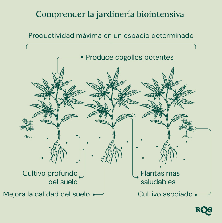 Ilustración de la jardinería biointensiva, mostrando máxima productividad, plantas más saludables, brotes potentes, plantación en asociación, cultivo en profundidad y mejora de la calidad del suelo.