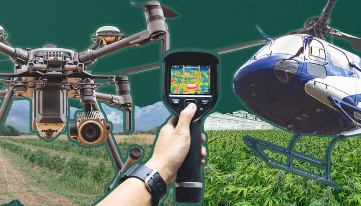 Un dron capturando imágenes aéreas de una operación de cultivo de cannabis al aire libre, que ilustra los desafíos y las técnicas de vigilancia aérea utilizadas para detectar cultivos ilícitos de cannabis en lugares rurales y ocultos.