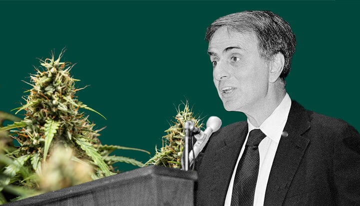 Un retrato detallado de Carl Sagan hablando en un micrófono, sobre un fondo verde con plantas de cannabis vibrantes y exuberantes.