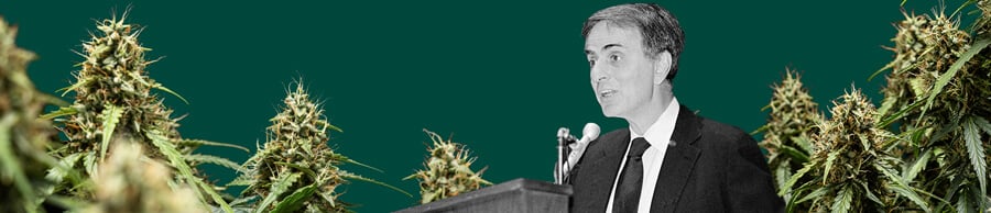 Un retrato detallado de Carl Sagan hablando en un micrófono, sobre un fondo verde con plantas de cannabis vibrantes y exuberantes.