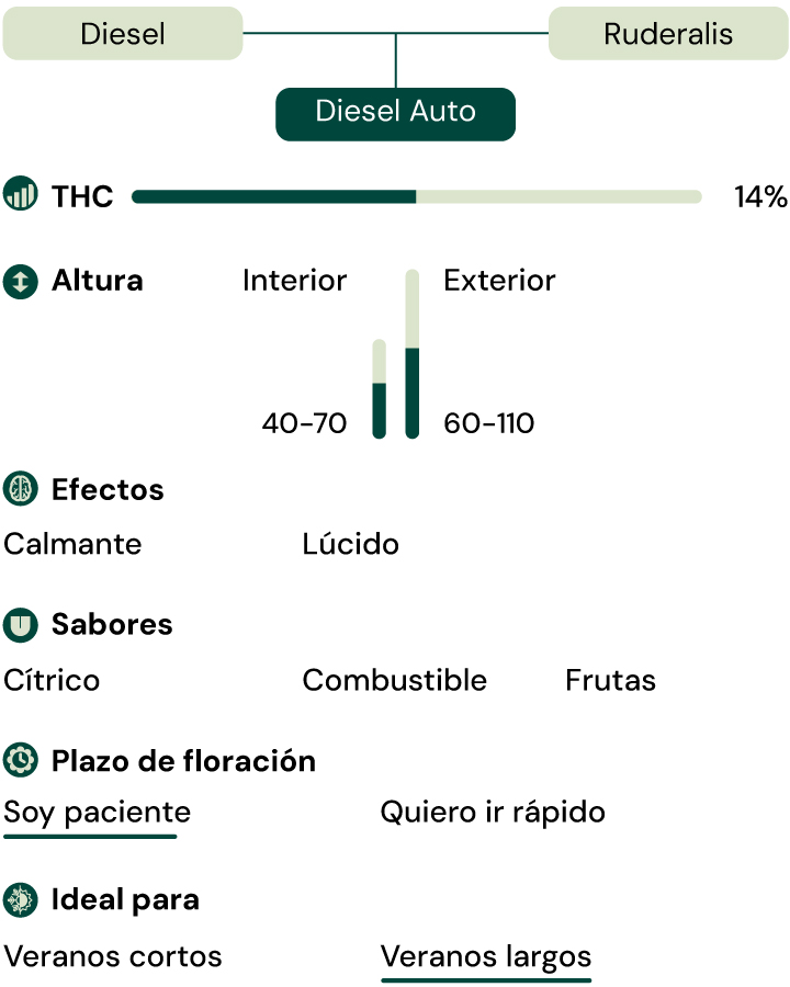 Diesel Auto Key Characteristics