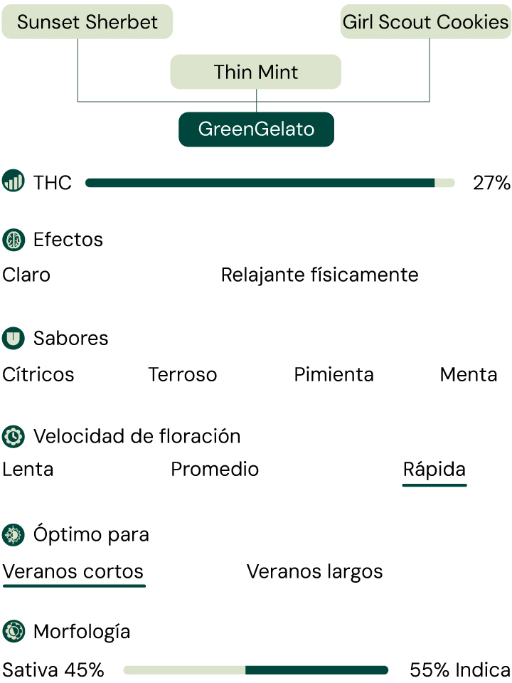 Green Gelato Characteristics