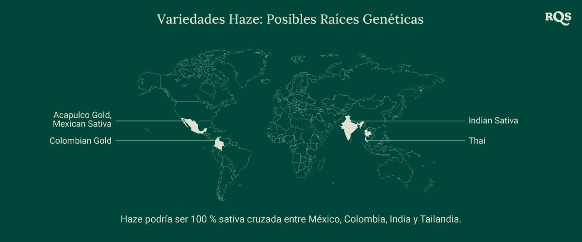 Mapa mundial que muestra los posibles orígenes de las cepas de cannabis Haze, con líneas que conectan México, Colombia, India y Tailandia a un punto central etiquetado como 