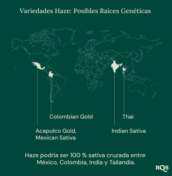 Mapa mundial que muestra los posibles orígenes de las cepas de cannabis Haze, con líneas que conectan México, Colombia, India y Tailandia a un punto central etiquetado como 