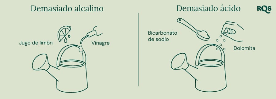 Guía para ajustar el pH del suelo: limón y vinagre para elevar el pH ('Demasiado alcalino'), bicarbonato de sodio y dolomita para reducir el pH ('Demasiado ácido'). 