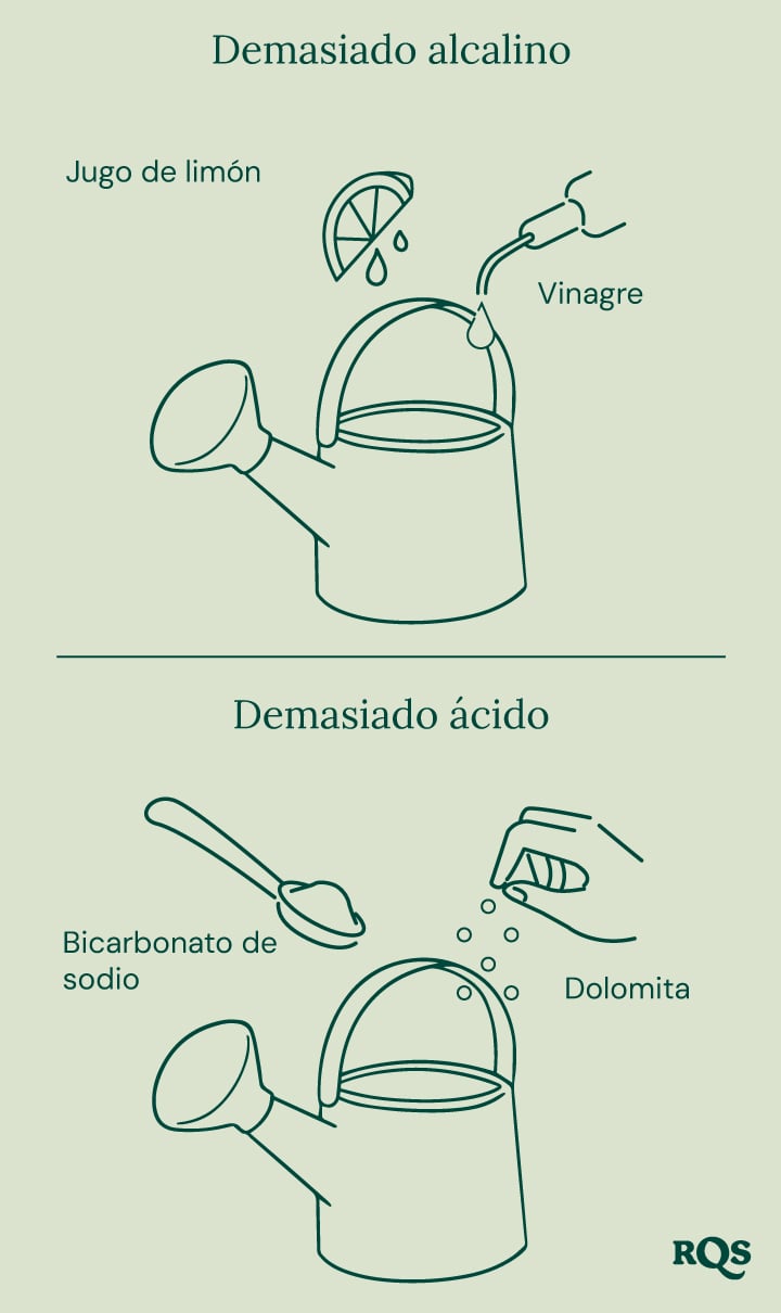 Guía para ajustar el pH del suelo: limón y vinagre para elevar el pH ('Demasiado alcalino'), bicarbonato de sodio y dolomita para reducir el pH ('Demasiado ácido'). 