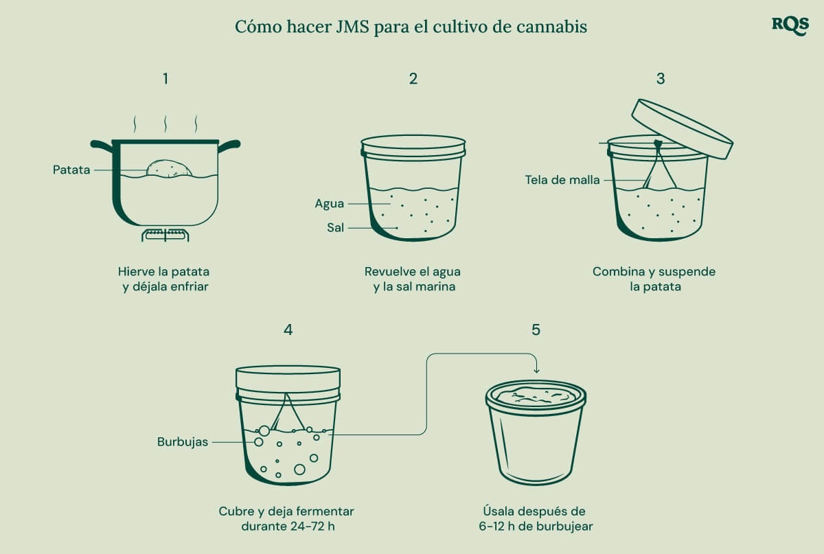 Una guía paso a paso sobre cómo hacer un fertilizante a base de patatas para plantas de cannabis.