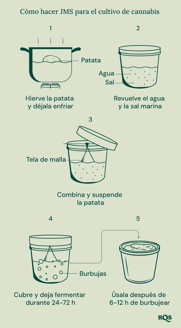 Una guía paso a paso sobre cómo hacer un fertilizante a base de patatas para plantas de cannabis.