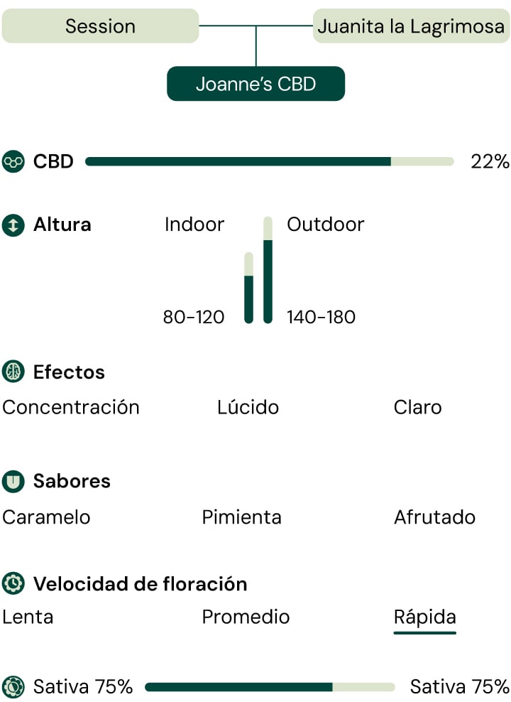 Joanne's  CBD Characteristics