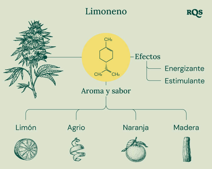 Limonene Characteristics