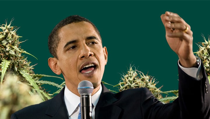 Retrato de Barack Obama hablando en un micrófono con la mano levantada, sobre un fondo verde con plantas de cannabis.