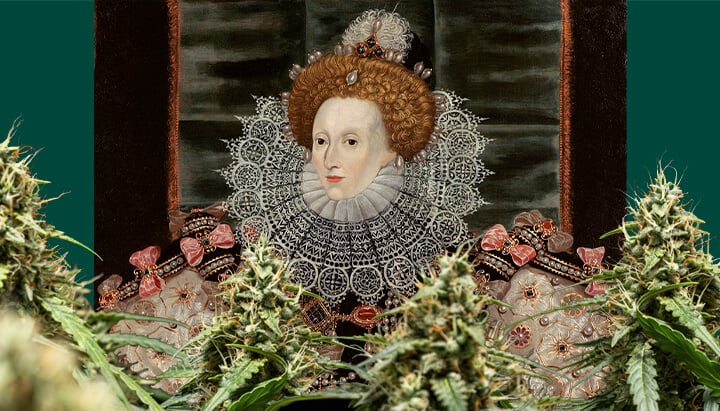 Un retrato colorido de la Reina Isabel I, centrado y enmarcado por plantas de cannabis con cogollos densos, sobre un fondo verde oscuro.