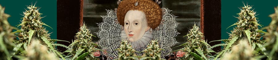 Un retrato colorido de la Reina Isabel I, centrado y enmarcado por plantas de cannabis con cogollos densos, sobre un fondo verde oscuro.