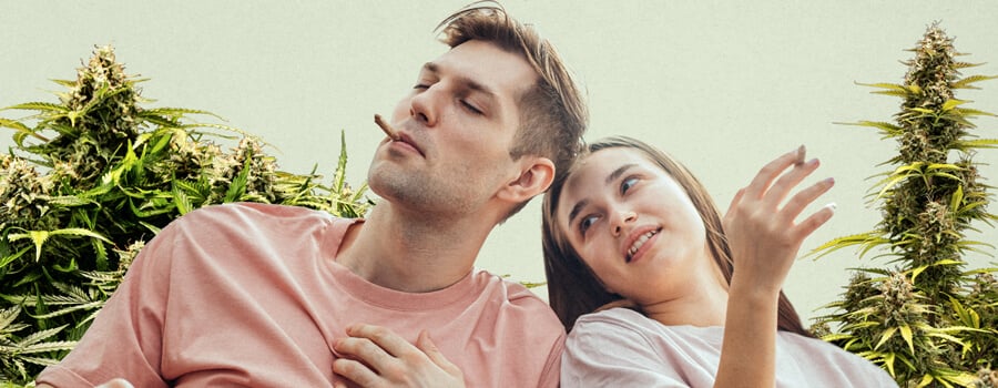 Un hombre con camiseta rosa fumando un porro encendido y una mujer sonriente con camiseta blanca relajándose juntos, rodeados de plantas de cannabis frondosas, destacando la conexión entre la cultura del cannabis y la relajación.