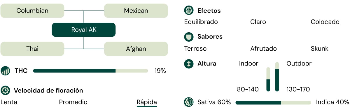 Royal AK Characteristics