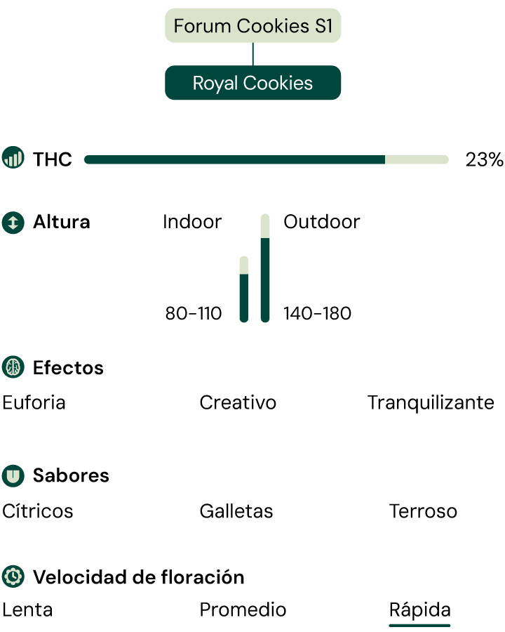 Royal Cookies Strain Characteristics