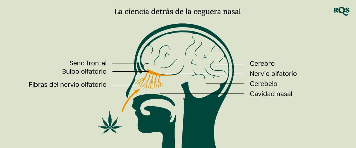 Ilustración titulada 