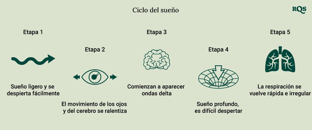 Sleep Cycle