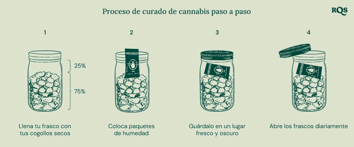 Instrucciones en cuatro pasos para curar cannabis correctamente. 1: Llena un frasco con cogollos secos (hasta el 75%). 2: Añade paquetes de humedad para mantener niveles óptimos. 3: Guarda el frasco en un lugar fresco y oscuro. 4: Abre el frasco diariamente para airearlo.