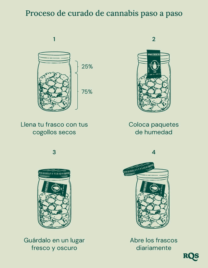 Instrucciones en cuatro pasos para curar cannabis correctamente. 1: Llena un frasco con cogollos secos (hasta el 75%). 2: Añade paquetes de humedad para mantener niveles óptimos. 3: Guarda el frasco en un lugar fresco y oscuro. 4: Abre el frasco diariamente para airearlo.