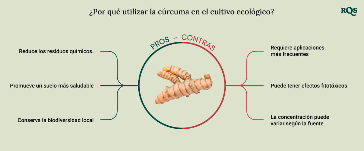 Tumeric for cultivation