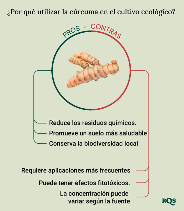 Tumeric for cultivation