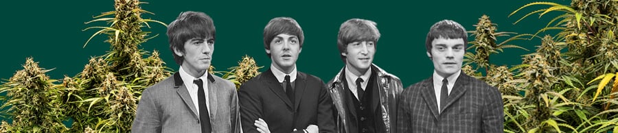 Foto en blanco y negro de The Beatles, con los cuatro miembros, plantas de cannabis en el fondo y un fondo verde oscuro, destacando la escena icónica.