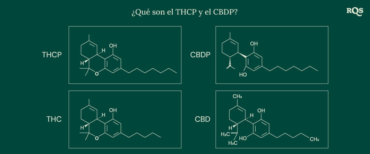 Estructuras químicas de cuatro cannabinoides: THCP, CBDP, THC y CBD, incluyendo los recientemente descubiertos THCP y CBDP