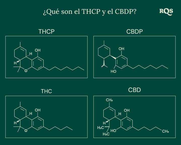 Estructuras químicas de cuatro cannabinoides: THCP, CBDP, THC y CBD, incluyendo los recientemente descubiertos THCP y CBDP