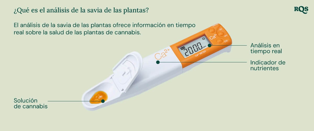 "Un analizador de savia de planta blanco con una pala amarilla se utiliza para medir los niveles de nutrientes en una planta de cannabis. El dispositivo analiza los niveles de calcio, magnesio y potasio, ayudando a los cultivadores a optimizar la nutrición y la salud de la planta.  "