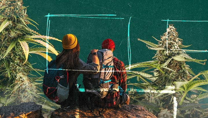 Dos personas sentadas en una roca rodeadas de naturaleza, con primeros planos de plantas de cannabis a cada lado, destacando sus hojas y cogollos detallados.