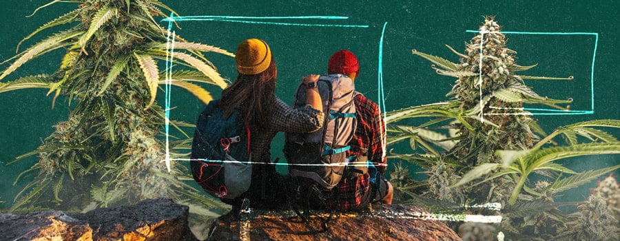 Dos personas sentadas en una roca rodeadas de naturaleza, con primeros planos de plantas de cannabis a cada lado, destacando sus hojas y cogollos detallados.