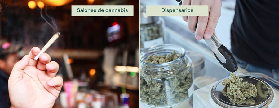 Una imagen dividida muestra una mano sosteniendo un porro encendido en un salón de cannabis a la izquierda, y una persona usando pinzas para seleccionar cannabis de un frasco en un dispensario a la derecha.