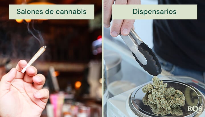 Una imagen dividida muestra una mano sosteniendo un porro encendido en un salón de cannabis a la izquierda, y una persona usando pinzas para seleccionar cannabis de un frasco en un dispensario a la derecha.