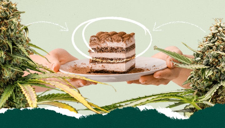 Collage que muestra a una persona sosteniendo un plato de tiramisú y un primer plano de una planta de cannabis, destacando un concepto de maridaje único.