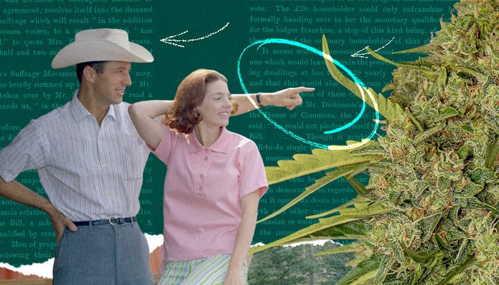 Un hombre y una mujer mirando una planta de cannabis saludable con hojas verdes vibrantes.