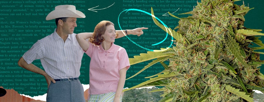 Un hombre y una mujer mirando una planta de cannabis saludable con hojas verdes vibrantes.