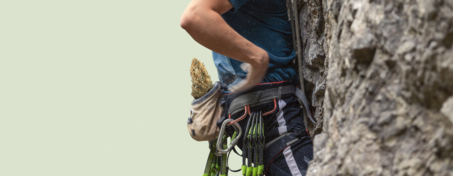 Cannabis climbing while high