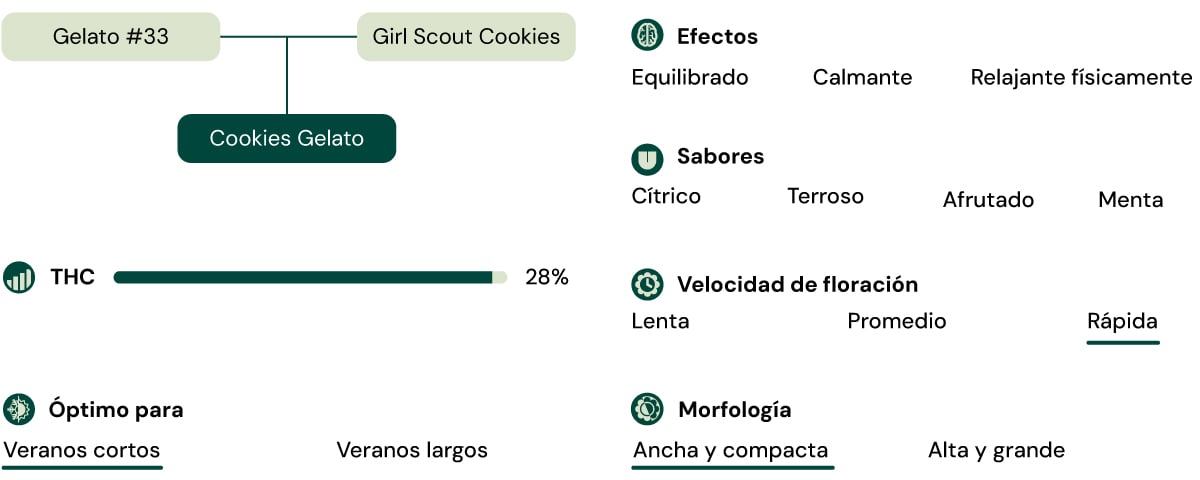 Cookies Gelato Key Attributes