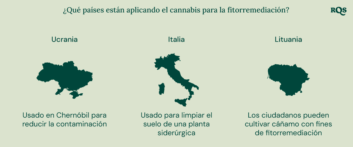 Infografía de países que utilizan cannabis para la fitorremediación: Ucrania (Chernobyl), Italia (planta de acero) y Lituania (cultivo de cáñamo).