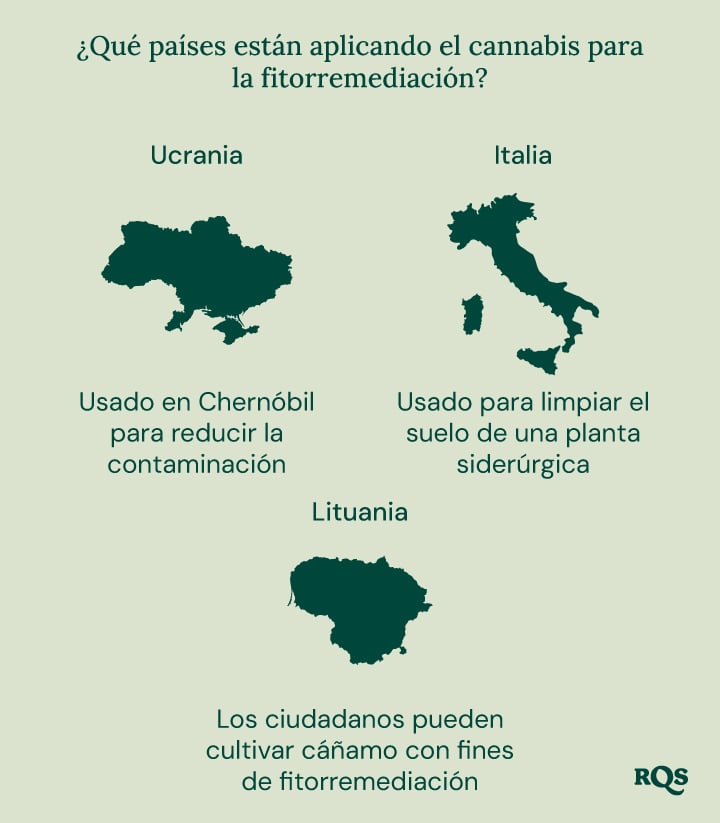 Infografía de países que utilizan cannabis para la fitorremediación: Ucrania (Chernobyl), Italia (planta de acero) y Lituania (cultivo de cáñamo).