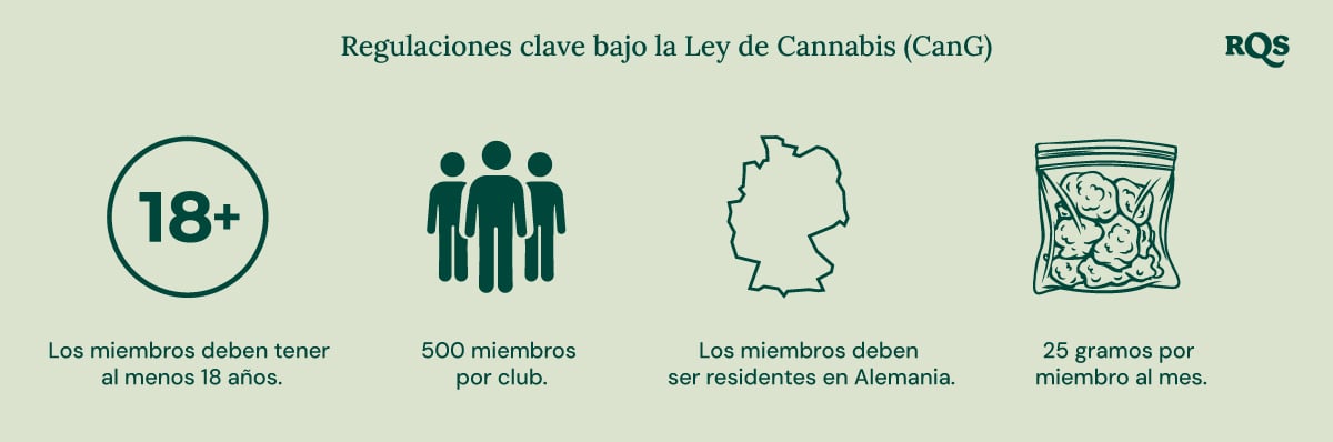 Infografía sobre la ley del cannabis en Alemania (CanG): edad 18+, 500 miembros por club, residencia en Alemania, límite de 25 g/mes.